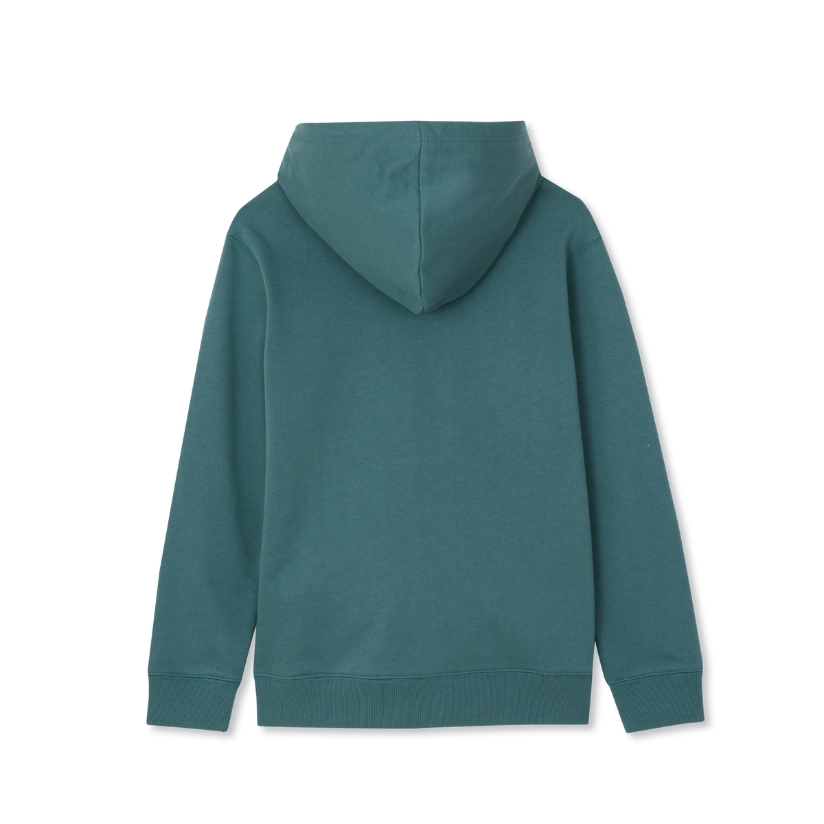 #color_sage brush green