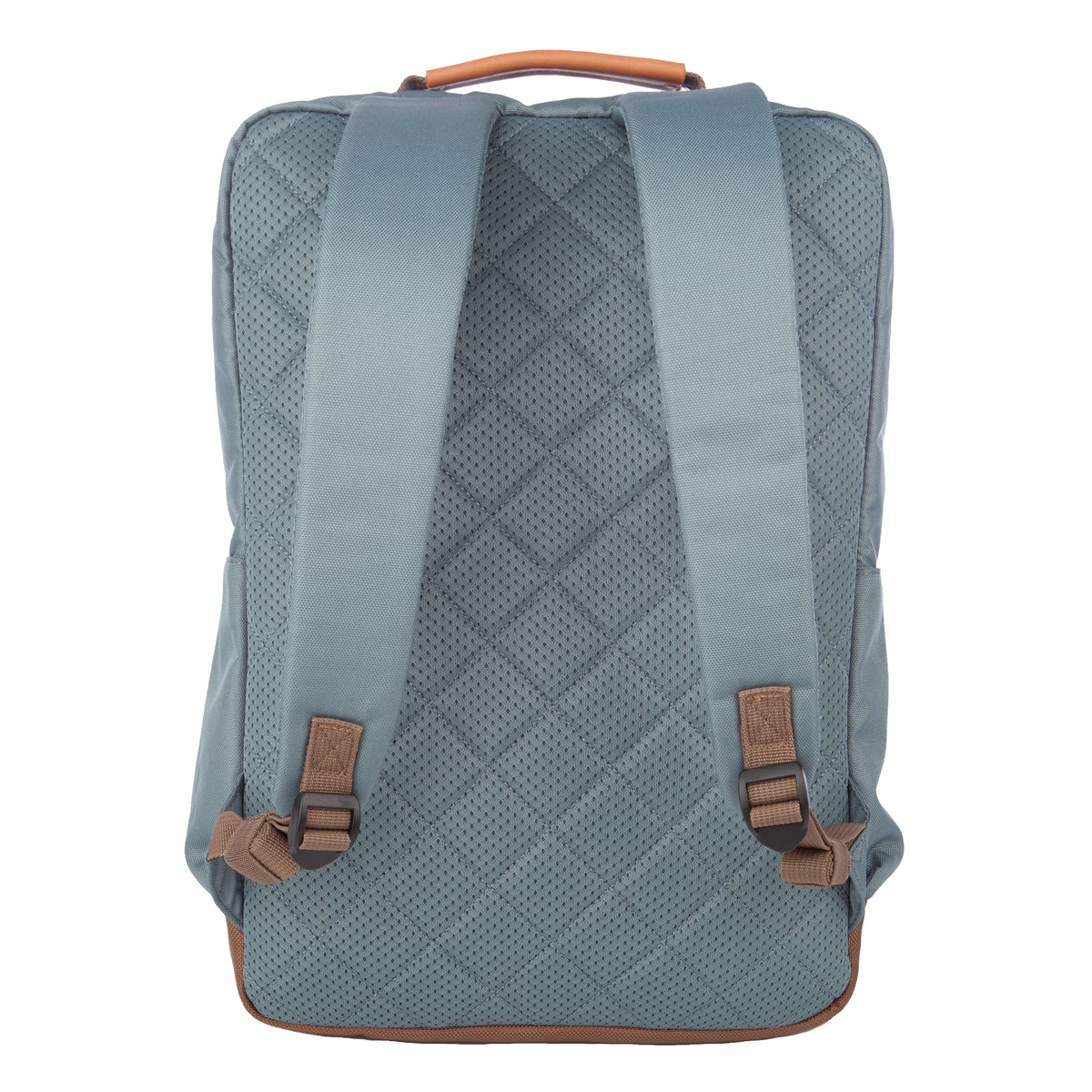 Bygone Campus Pack-Dragonfly-14