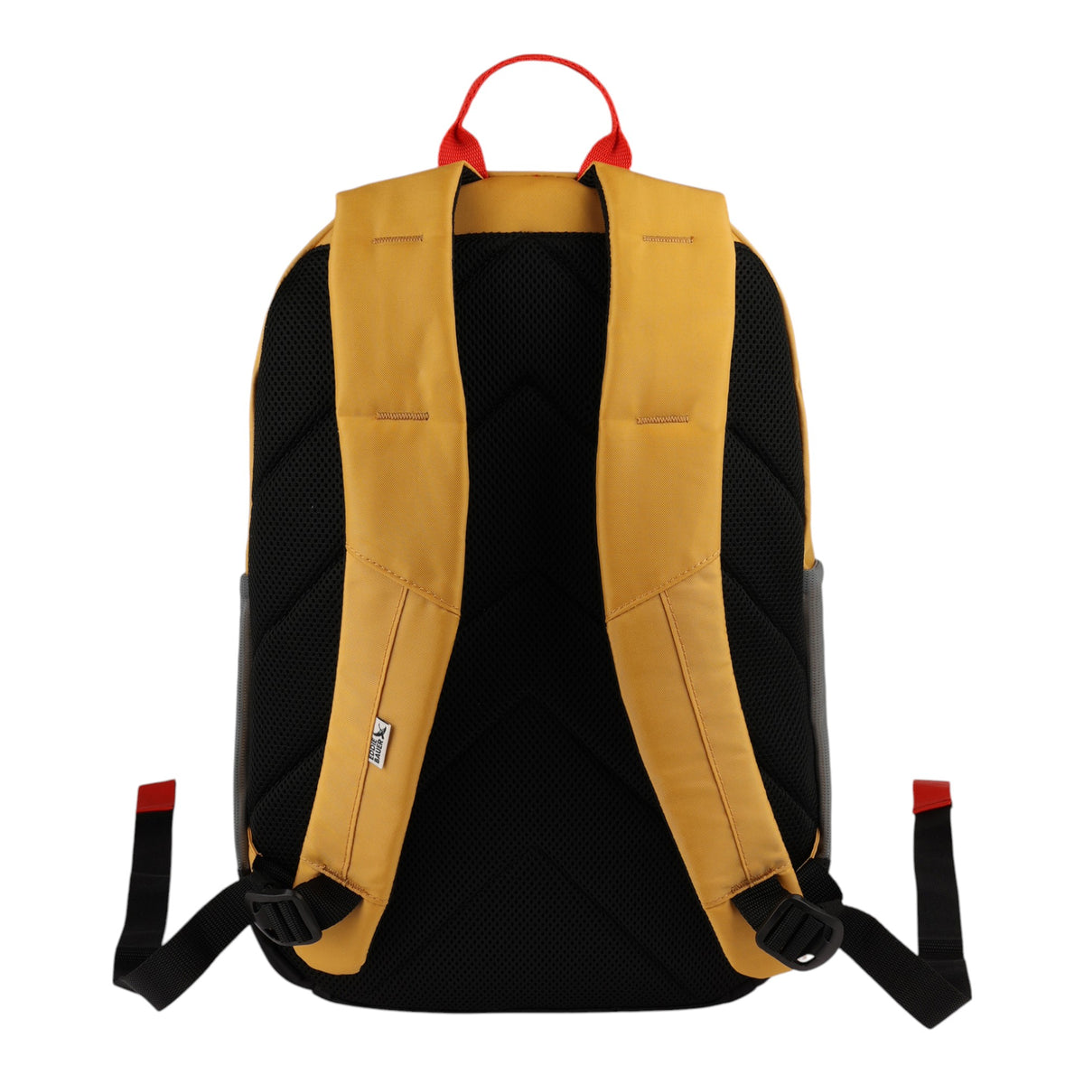 University 22L Backpack-Field Gold-15