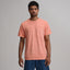 Dusty Coral